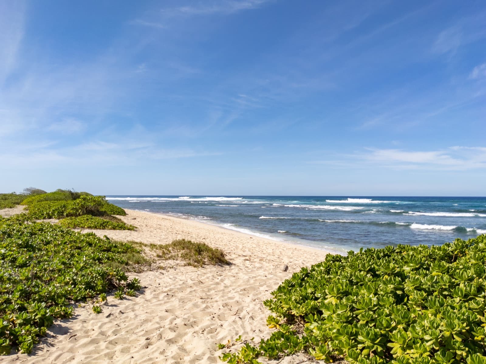 Polo Beach